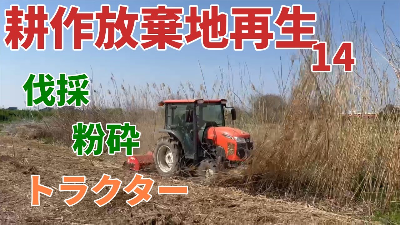 【耕作耕作放棄地再生14】道が狭くボブキャットをいれられない！トラクターで伐採、粉砕してきました。