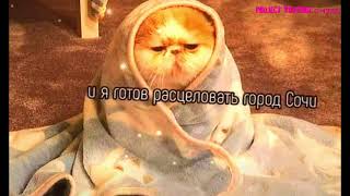 картинка: Футажи из тик тока.Песни из тик тока футажи