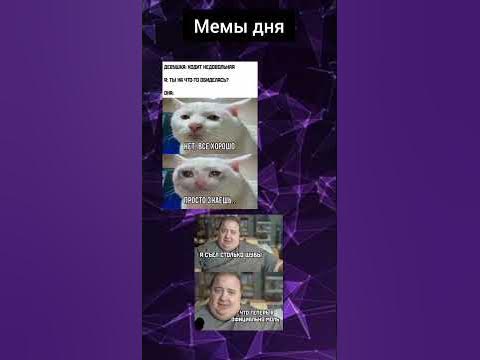 Мемы дня - YouTube