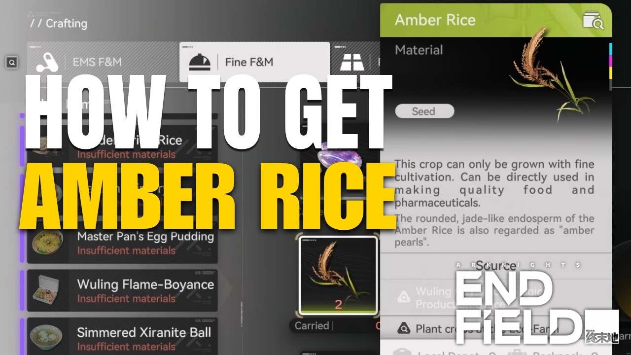 How to Get Amber Rice in Arknights Endfield - YouTube