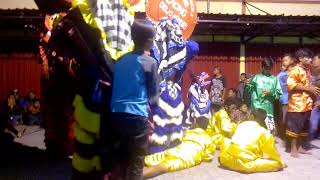 Downloadbarongan new putro budoyo MP3 MP4 barongan new putro budoyo