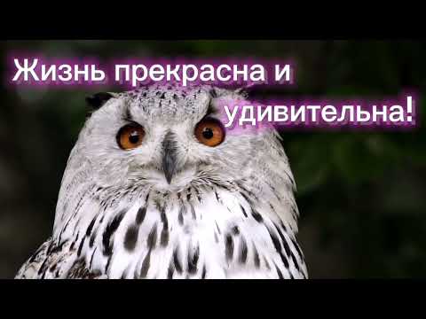 ЖИЗНЬ ПРЕКРАСНА И УДИВИТЕЛЬНА! После дождя выйдет радуга. Дождись! Ничто не происходит напрасно