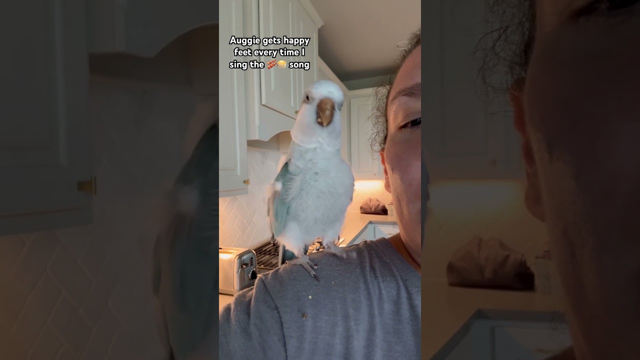 Bacon pancakes give me happy feet too 