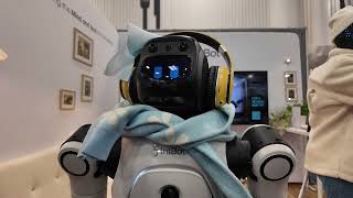 The New U.S. Robot Ban Could Affect Vacuums and Lawnmowers