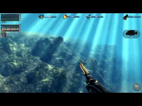 Depth Hunter 2 on radeonsi (Linux wine csmt|nine vs Windows 8 )