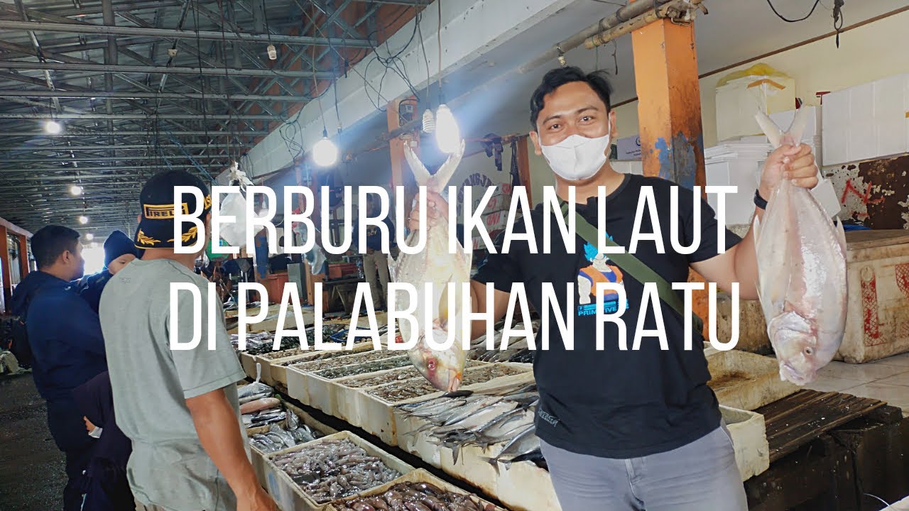 Berburu Ikan Laut di Pelelangan Ikan Pelabuhan Ratu Sukabumi