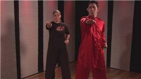 Kung Fu : Palm Block & Reverse Punch Combo