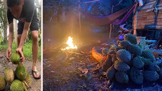 1 Day Looking For Durian in the Forest of Kalimantan, Hammock, Rain, Campfire - Day 4