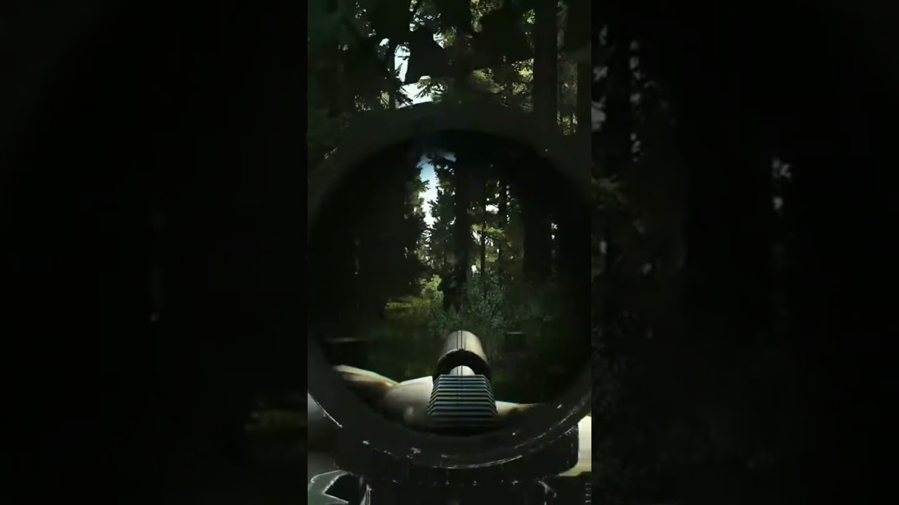 How to insurance fraud (Tarkov).