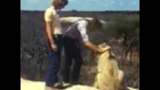 A LION CALLED CHRISTIAN: The Touching Reunion