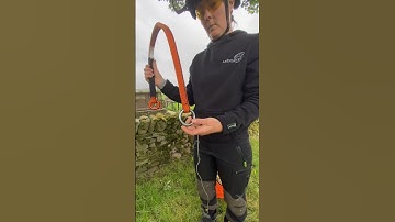 Set your Cambium Saver from the ground #arborist #treeclimber #treework