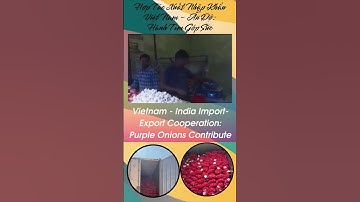 Vietnam   India Import  Export Cooperation Purple Onions Contribute#export #news#agriculture #india