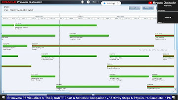 Primavera P6 Visualizer/TSLD, GANTT Chart&Schedule Comparison/Activity Steps&Physical%Complete in P6