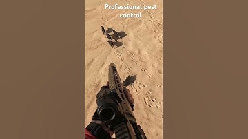 Professional pest control of invasive species. #aerialshooting #conservation #feralhogs
