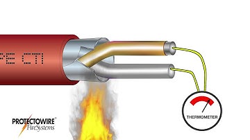 Protectowire CTI Series Detector