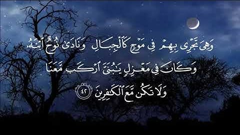 وَهِيَ تَجْرِي بِهِمْ فِي مَوْجٍ كَالْجِبَالِ💕تلاوة عطرة سورة💕هود💕