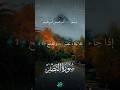 Surah An-Nasr | The Victory from Allah 🕋 | Powerful Quran Recitation #shorts #Quran #Islam #peace