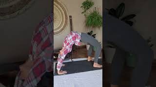 Cakrásana - Mariana Figueiredo