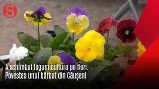 În piețile din Căușeni prețul florilor a crescut cu 30%