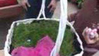 Easter Grass
