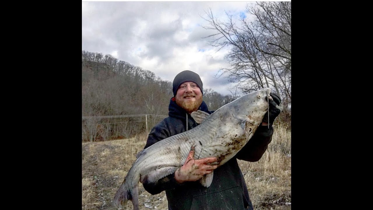 Catching Big Blue Catfish In The Winter YouTube