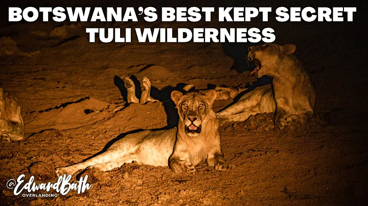 BOTSWANA'S BEST KEPT SECRET | TULI WILDERNESS |  A...