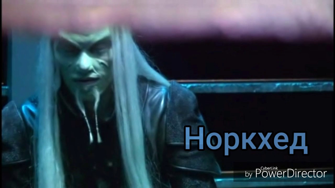 Допрос рейфа