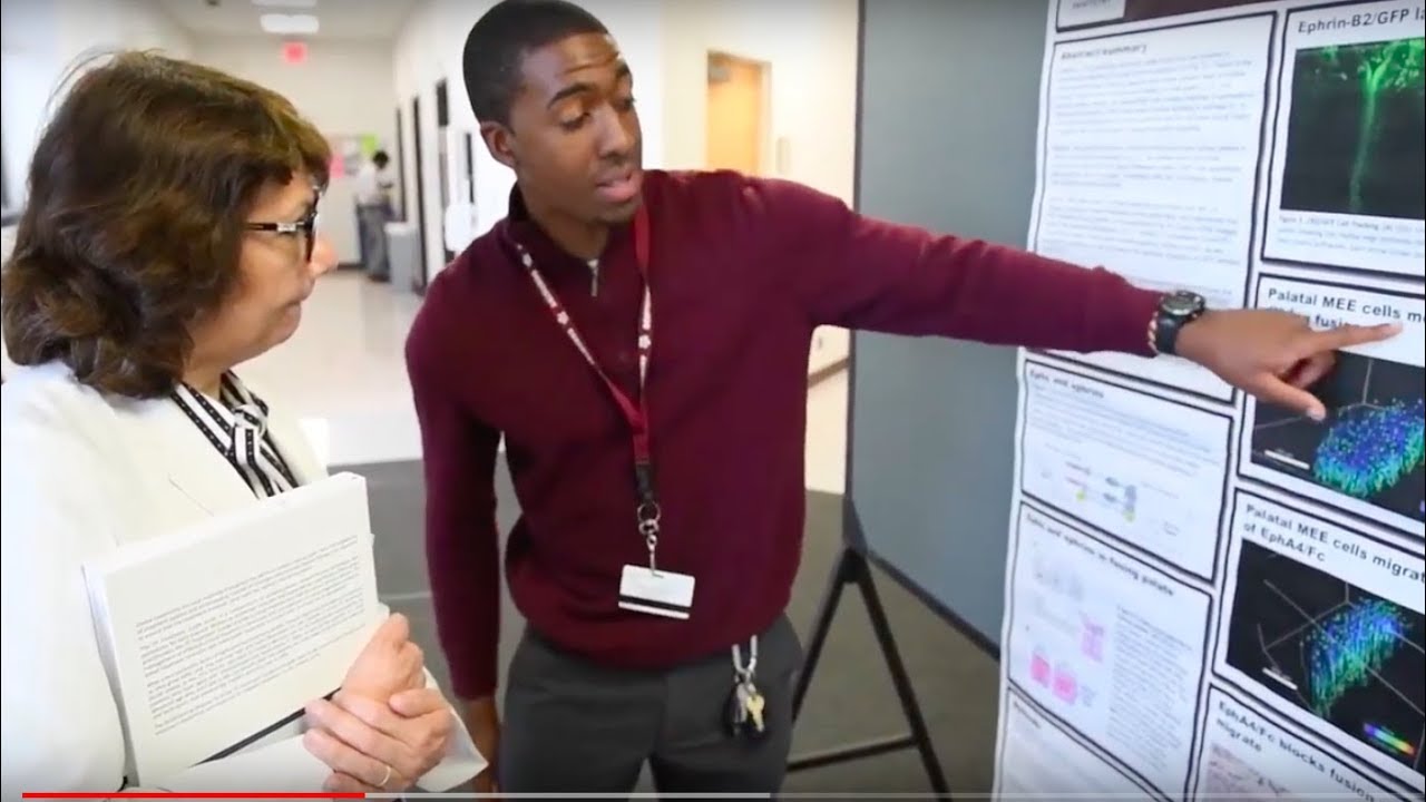 Research Scholars Day 2018