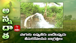 Are you using salt water for irrigating crops - follow these simple tips | ETV screenshot 2