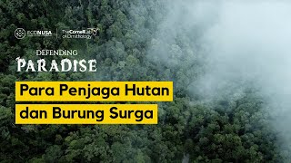 Defending Paradise: Para Penjaga Hutan dan Burung Surga | #DefendingParadise