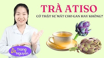 Uống Trà Atiso Mỗi Ngày Có Gây Hại Gan Không? Đừng Dùng Nếu Chưa Biết Điều Này!