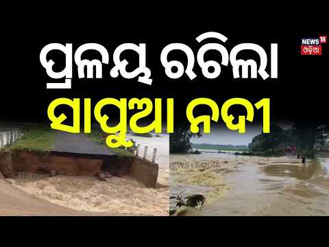ପ୍ରଳୟ ରଚିଲା ସାପୁଆ ନଦୀ | Odisha Flood News | Sapua River Overflow Cuts Off Villages | Odisha Rain