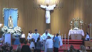 Nuestra Senora de Fatima, 17 de Mayo , 2026, Solemnidad de la Ascension del Señor
