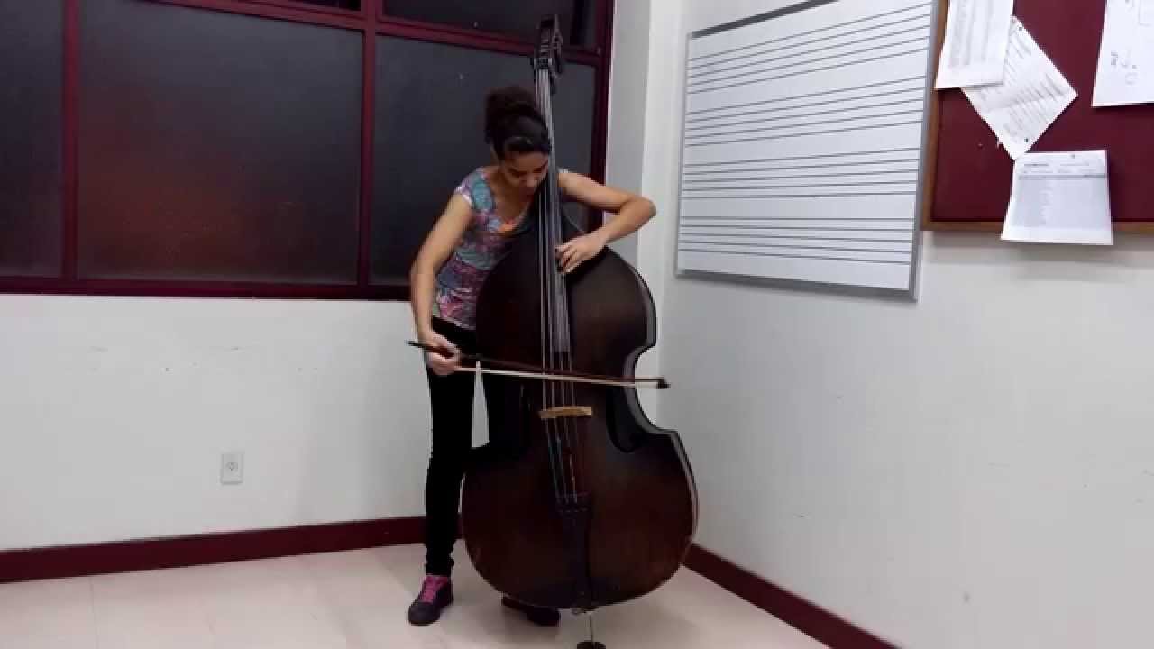 Domenico Double Bass concerto MOV I YouTube