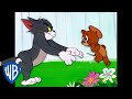 Tom y Jerry en Latino | ¡Corre, Jerry, corre! | WB Kids