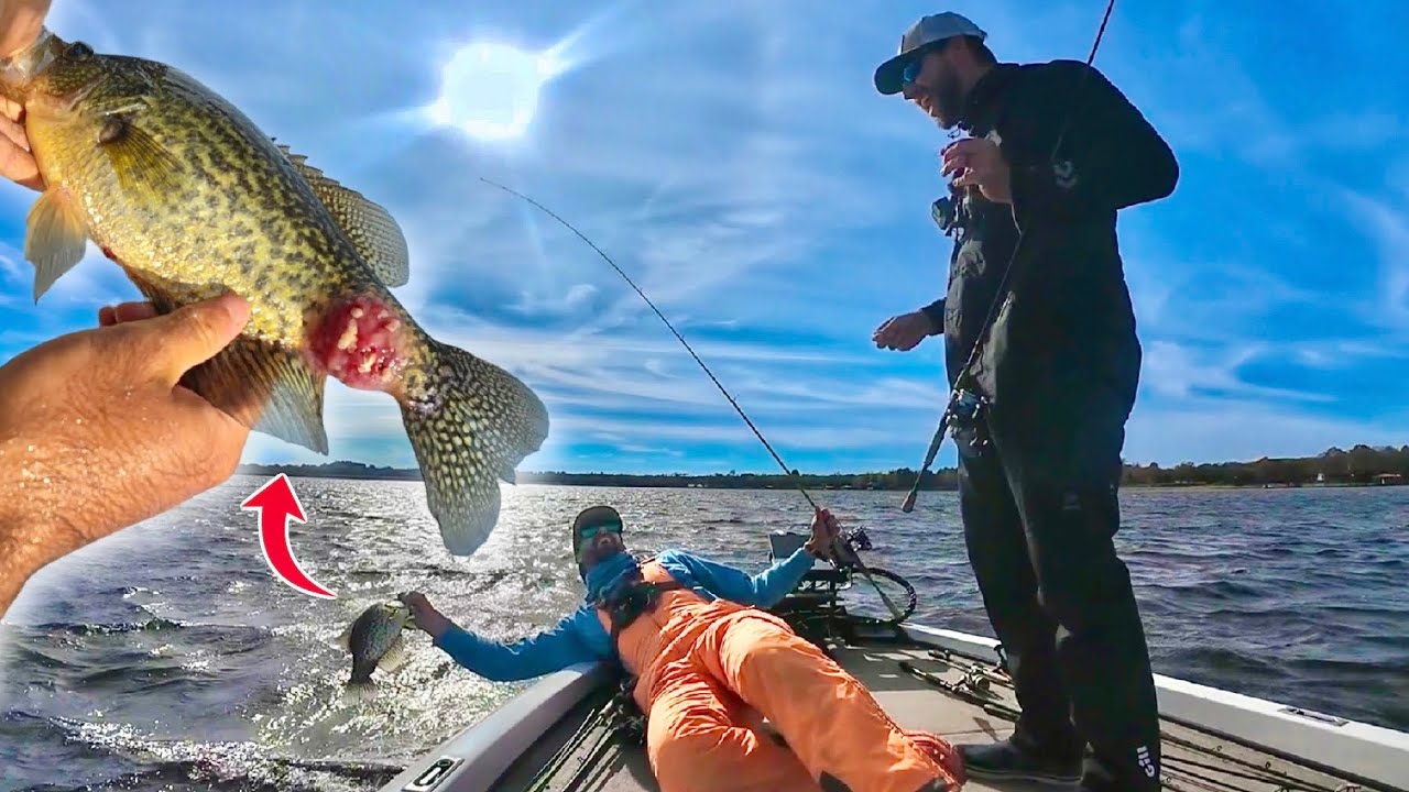 Caught a 1 in a MILLION Giant ZOMBIE CRAPPIE!!! -- What The Heck