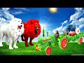 बन्दर का वॉटर मेलोन ट्रेक्टर और सफेद शेर का जंगल में आतंक| Monkey"s Water Melon Tractor