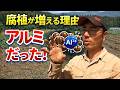 腐植が増える理由アルミでした Why Soil Becomes Black The Secret of Humus
