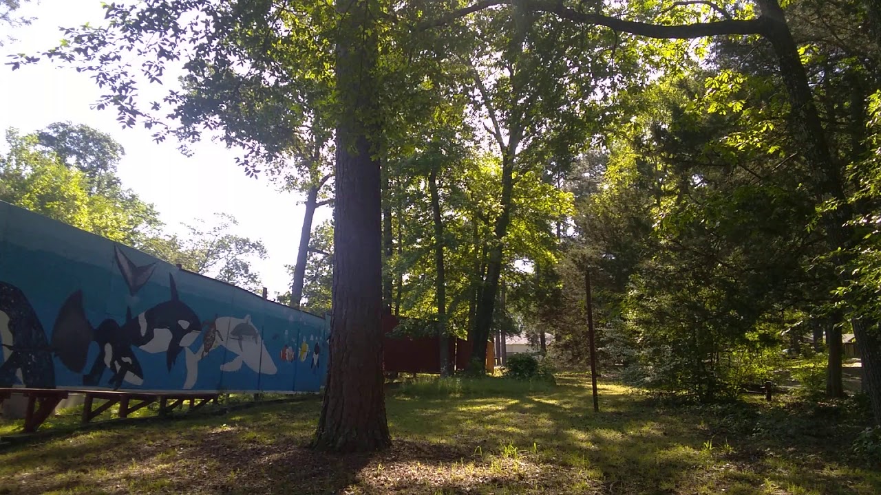 Craftman T100 - YouTube