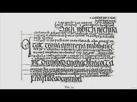 Medieval Irish Law: The Legal Manuscripts of the Brehon Law