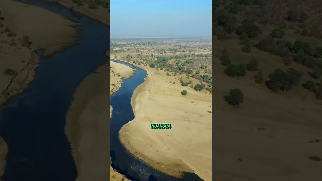 River Gone, Wildlife Struggles | Nature's Harsh Reality