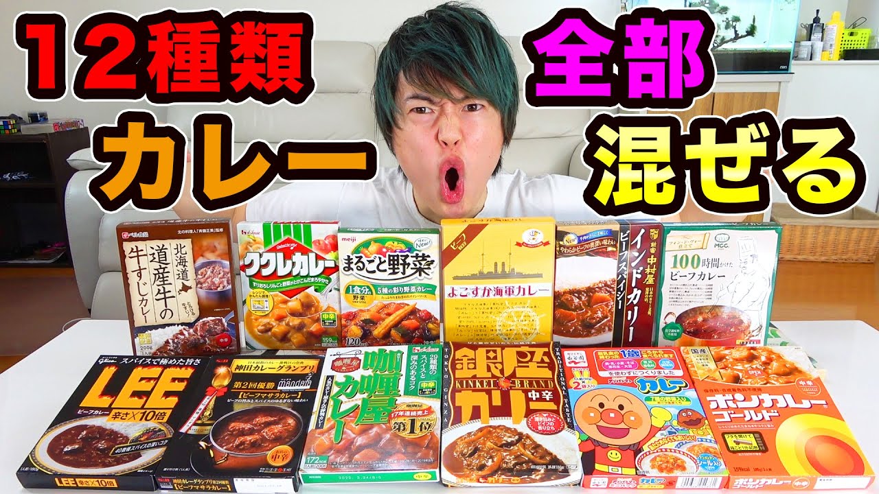 全部混ぜて最強カレーを作ってみせる！！！！【12種類のレトルトカレー】