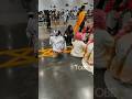 kny funny cosplay 🤣 #funnycosplay #funnyshorts #knycore #tiktokcosplay #corecosplay #knycosplay