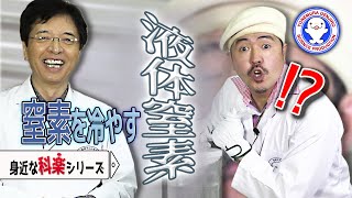 【身近な科楽】液体窒素vs窒素ガス　入れるとどうなる！？【疑問・不思議実験】 / 米村でんじろう[公式]/science experiments