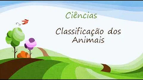 Como podem ser classificados os animais?