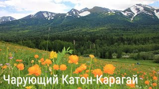 видео: Чарующий Катон-Карагай | Health resort картинка: Чарующий Катон-Карагай | Health resort