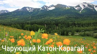 Чарующий Катон-Карагай | Health resort