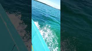 📍Lutangan Sealagi Beach, Zamboanga Sibugay🌊💙