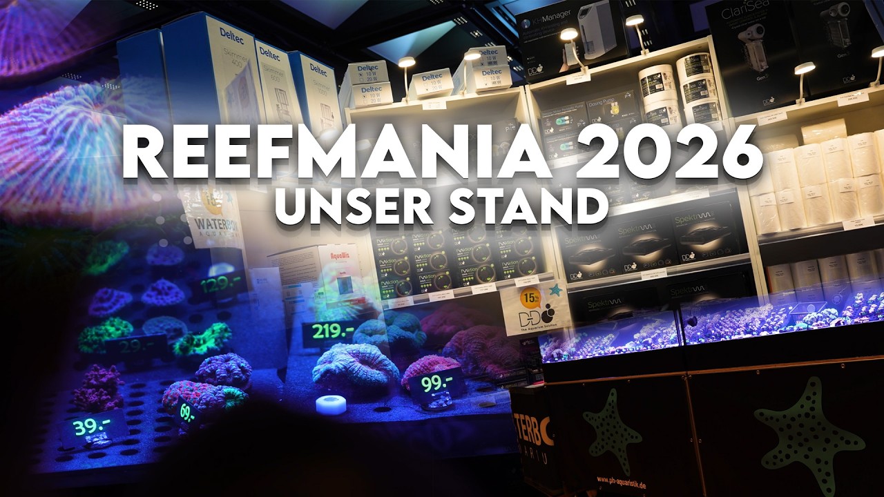 Reefmania 2026 / Unser Stand und unsere Korallenauswahl!