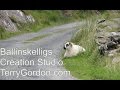 Ballinskelligs Co. kerry Ireland by Terry Gordon Creation Studio